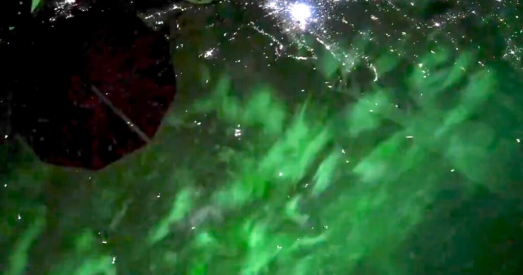 This is what it looks like to fly over an aurora